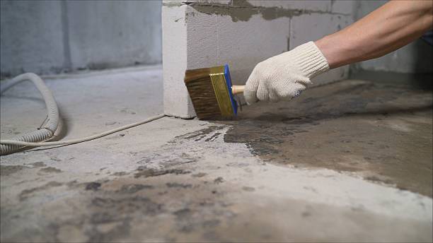 Top rated local Crawl Space Encapsulation specialists in Concord, VA